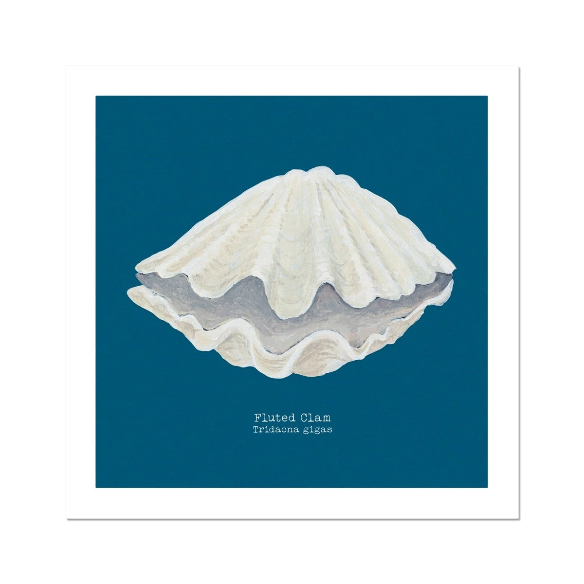 Hand-painted Clam Shell Art Print | Marine Blue Background - Unframed Hand-painted Clam Shell Art Print | Marine Blue Background - Unframed -Beach House Art 90a2ea94 87c8 49e1 92c2 bd59f6e4a6c3