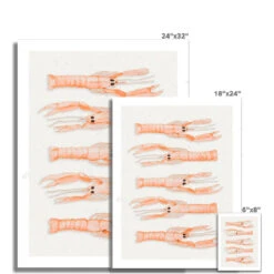 Langoustine Painting | Sealife Wall Art Print - Unframed -Beach House Art 9509cfc0 3c46 4622 83b6 5044af852949