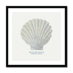 Hand-painted Scallop Shell Art Print | Natural Background - Framed -Beach House Art 96407fed 0be9 45b4 9b15 83b5c170eb15