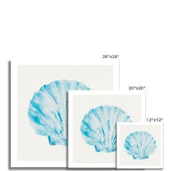 Aqua Watercolour Scallop Shell Painting | Shell Print - Unframed 7 Aqua Watercolour Scallop Shell Painting | Shell Print - Unframed -Beach House Art 9be818de e08c 435d 8f73 c6db17be7117