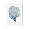 Sea Fan Watercolour Coral Painting | Coral Art | No 2 - Unframed