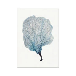 Sea Fan Watercolour Coral Painting | Coral Art | No 2 - Unframed