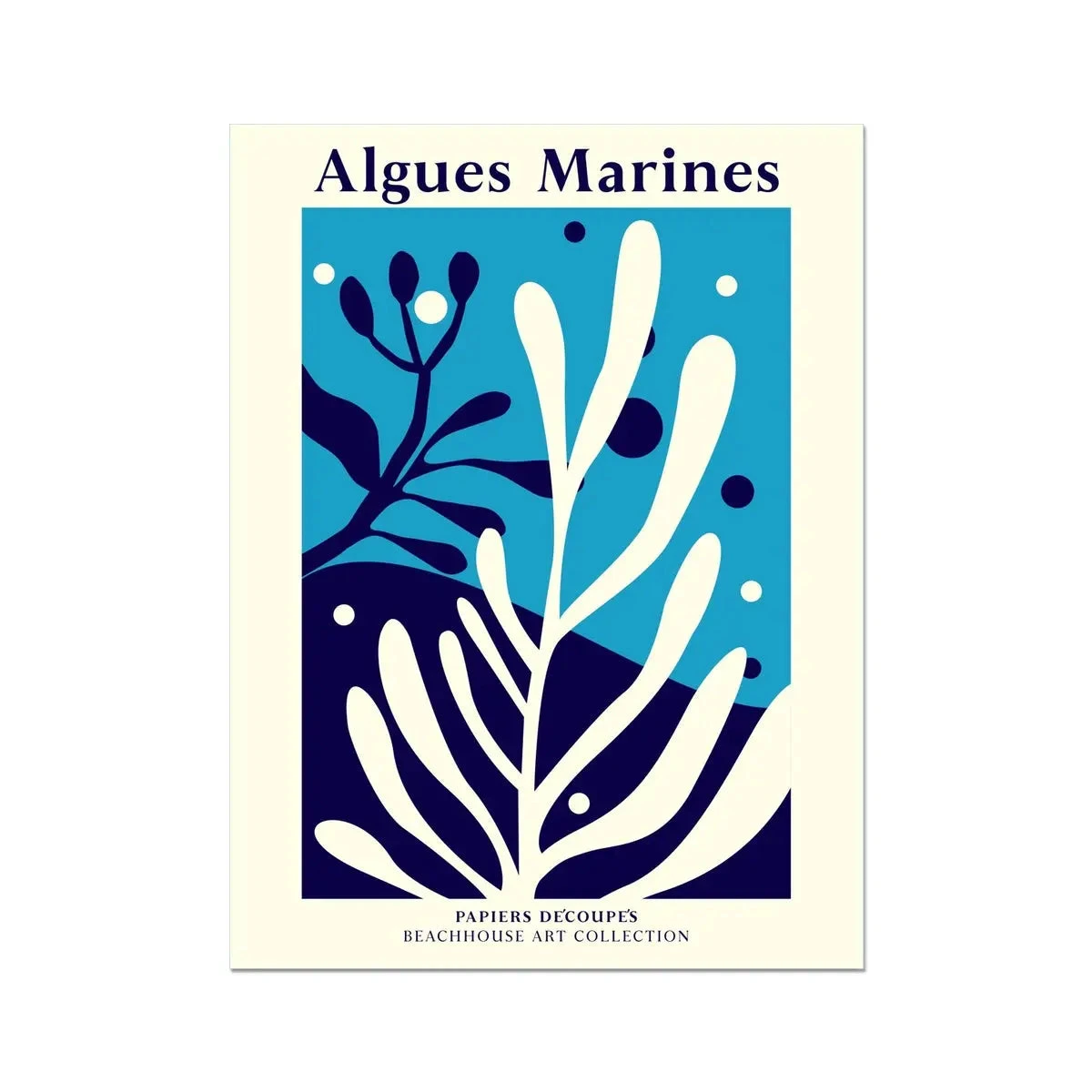 Algues Marines Print | Graphic Botanical Print of Seaweed and Coral - Unframed Algues Marines Print | Graphic Botanical Print Of Seaweed And Coral - Unframed -Beach House Art Algues Marines Unframed Print Wall Art Beach House Art 1650735941