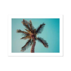 Aqua Palm Tree Print | Palm Tree Photography - Unframed