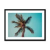 Aqua Palm Tree Photography Print - Framed -Beach House Art Aqua Palm Tree Beach Photography Framed Print Fine art Beach House Art 1663939014