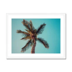 Aqua Palm Tree Photography Print - Framed -Beach House Art Aqua Palm Tree Beach Photography Framed Print Fine art Beach House Art 1663939018