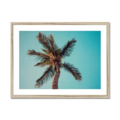 Aqua Palm Tree Photography Print - Framed -Beach House Art Aqua Palm Tree Beach Photography Framed Print Fine art Beach House Art 1663939022