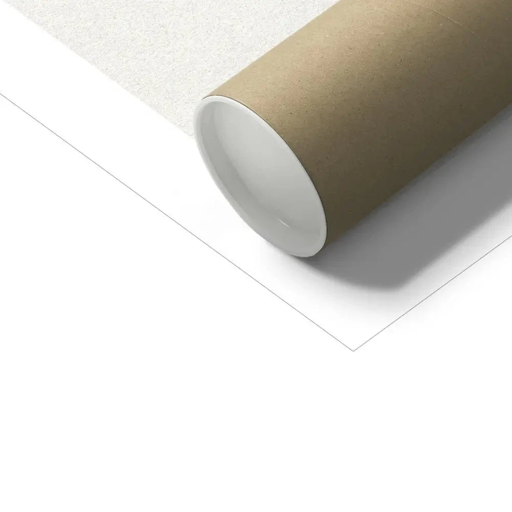 Aspidium Goldianum | Ferns Print 7 | Botanical Art - Unframed Aspidium Goldianum | Ferns Print 7 | Botanical Art - Unframed -Beach House Art Aspidium Goldianum Fern Print 7 Fine Art Print Fine art Beach House Art 1677413550 ef513e3e 8294 402a 8906 ef45eb08bfe9