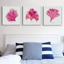Beautiful Fan Weed No 1 Seaweed Print |Pressed Seaweed Art - Framed 4 Beautiful Fan Weed No 1 Seaweed Print |Pressed Seaweed Art - Framed -Beach House Art BeautifulFanWeedsSquarex3 0fcf45a9 502d 4a4d b1d8 ed7c30734c0c