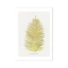 Blechnum Orientale | Fern Print 5 | Botanical Art - Unframed -Beach House Art Blechnum Orientale Fern Print 5 Fine Art Print Fine art Beach House Art 1677413504 f6b7edf4 9731 4fd1 bfe2 176c54904504