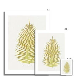 Blechnum Orientale | Fern Print 5 | Botanical Art - Unframed 7 Blechnum Orientale | Fern Print 5 | Botanical Art - Unframed -Beach House Art Blechnum Orientale Fern Print 5 Fine Art Print Fine art Beach House Art 1677413510 b374c0bd 624c 49df 82b1 2ff6c512e306