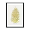 Blechnum Orientale | Fern Print 5 | Botanical Art - Framed 1 Blechnum Orientale | Fern Print 5 | Botanical Art - Framed -Beach House Art Blechnum Orientale Fern Print 5 Framed Print Fine art Beach House Art 1677413572 31e372a2 fe4d 4984 9cd4 73c9ac9c9f03