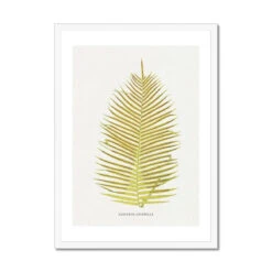 Blechnum Orientale | Fern Print 5 | Botanical Art - Framed 6 Blechnum Orientale | Fern Print 5 | Botanical Art - Framed -Beach House Art Blechnum Orientale Fern Print 5 Framed Print Fine art Beach House Art 1677413576 29927d55 90a8 4c90 95ac 1dd63a0293b2