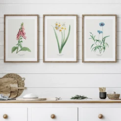 Foxglove Painting | Vintage Flower Print | Botanical Art - Unframed -Beach House Art CopyofSetofthreeindigocoralprints