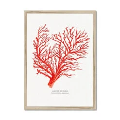 Coral Print | Red Coral Painting No 1 - Framed