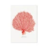 Coral Print | Red Coral Painting No 2 - Unframed -Beach House Art Coral Print Red Coral No 2 Fine Art Print Fine art Beach House Art 1681894823 262b6f1d 9ca2 4ed1 8a6c 3a5270e0d29f