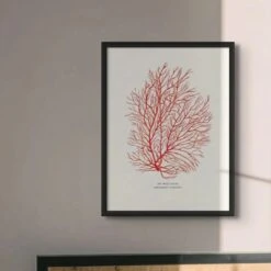 Coral Print | Red Coral Painting No 3 - Unframed -Beach House Art Coral Print Red Coral No 3 Fine Art Print Home Garden Decor Artwork Posters Prints Visual Artwork Beach House Art 1681901519 2b8f7f04 d7cb 4154 9439 5b5085f6af82