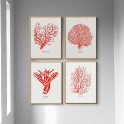 Coral Print | Red Coral Painting No 4 - Unframed -Beach House Art Coral Print Red Coral No 4 Fine Art Print Home Garden Decor Artwork Posters Prints Visual Artwork Beach House Art 1681903271 af0a872c 642d 408f b84c 3b8bcba22fb8