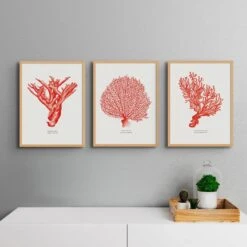 Coral Print | Red Coral Painting No 4 - Unframed -Beach House Art Coral Print Red Coral No 4 Fine Art Print Home Garden Decor Artwork Posters Prints Visual Artwork Beach House Art 1681903278 b87f2238 a61f 46c0 9941 7827442f75a5