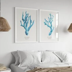 Coral Wall Art | Sea Blue Coral Print | Specimen 4 - Unframed -Beach House Art CoralS4 5