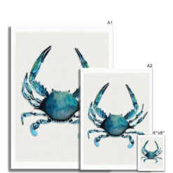 Crab Painting | Kitchen Art | Crab Print - Unframed 8 Crab Painting | Kitchen Art | Crab Print - Unframed -Beach House Art Crab Watercolour Shellfish Fine Art Print Fine art Beach House Art 1677249294 2e1081f7 4748 4900 8350 9d360d8ebd1f