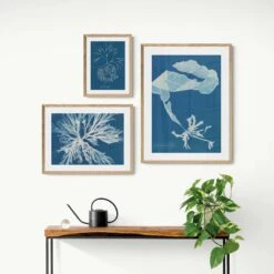 Cyan Algae: Vintage Seaweed Print - Framed Print -Beach House Art Cyan Algae Framed Print Wall Art Beach House Art 1650734050