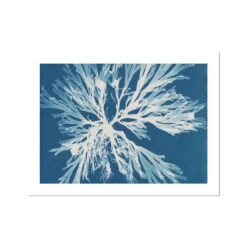 Cyan Algae: Vintage Seaweed Print - Unframed