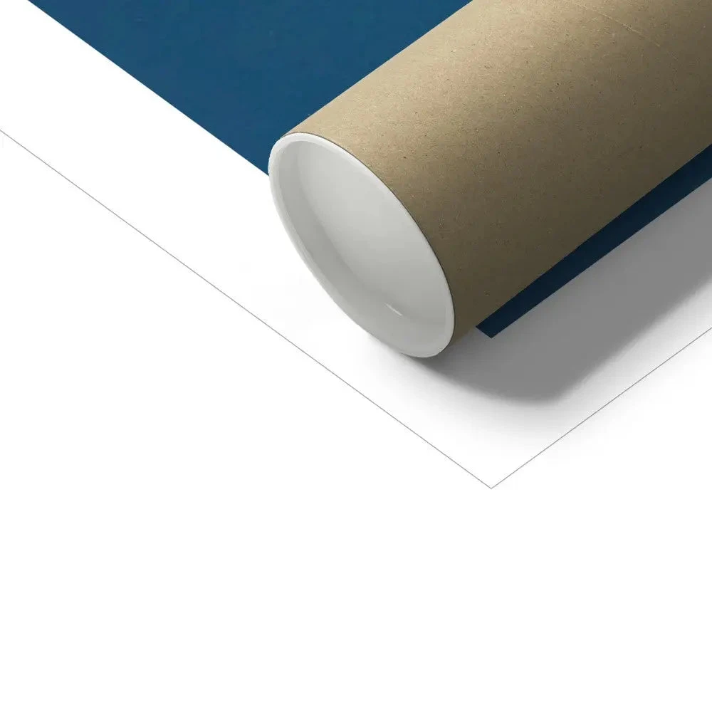 Cyan Filaments: Vintage Seaweed Print - Unframed Cyan Filaments: Vintage Seaweed Print - Unframed -Beach House Art Cyan Filaments Unframed Print Wall Art Beach House Art 1650737532