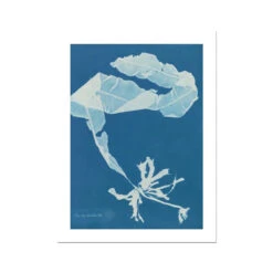 Cyan Kelp: Vintage Seaweed Print - Unframed
