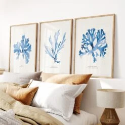 Indigo Seaweed Print | Seaweed Art (Papery Fan Weed) - Unframed -Beach House Art ExtendedSetofThreeIndigoSeaweedPrints