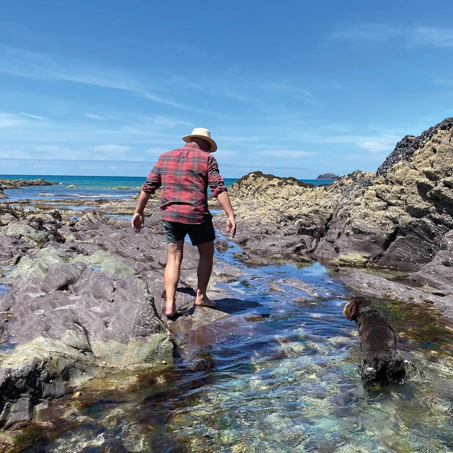 Seaweed Print | Handcrafted Pressed Seaweed (Fan Weed No1) - Unframed Seaweed Print | Handcrafted Pressed Seaweed (Fan Weed No1) - Unframed -Beach House Art Fan Weed No1 Seaweed Print Unframed Home Garden Decor Artwork Posters Prints Visual Artwork Beach House Art 1661350998