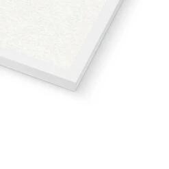 Seaweed Art Print | Handcrafted Pressed Seaweed (Fan Weed No2) - Framed 11 Seaweed Art Print | Handcrafted Pressed Seaweed (Fan Weed No2) - Framed -Beach House Art Fan Weed No2 Seaweed Print Framed Print Fine art Beach House Art 1661172593