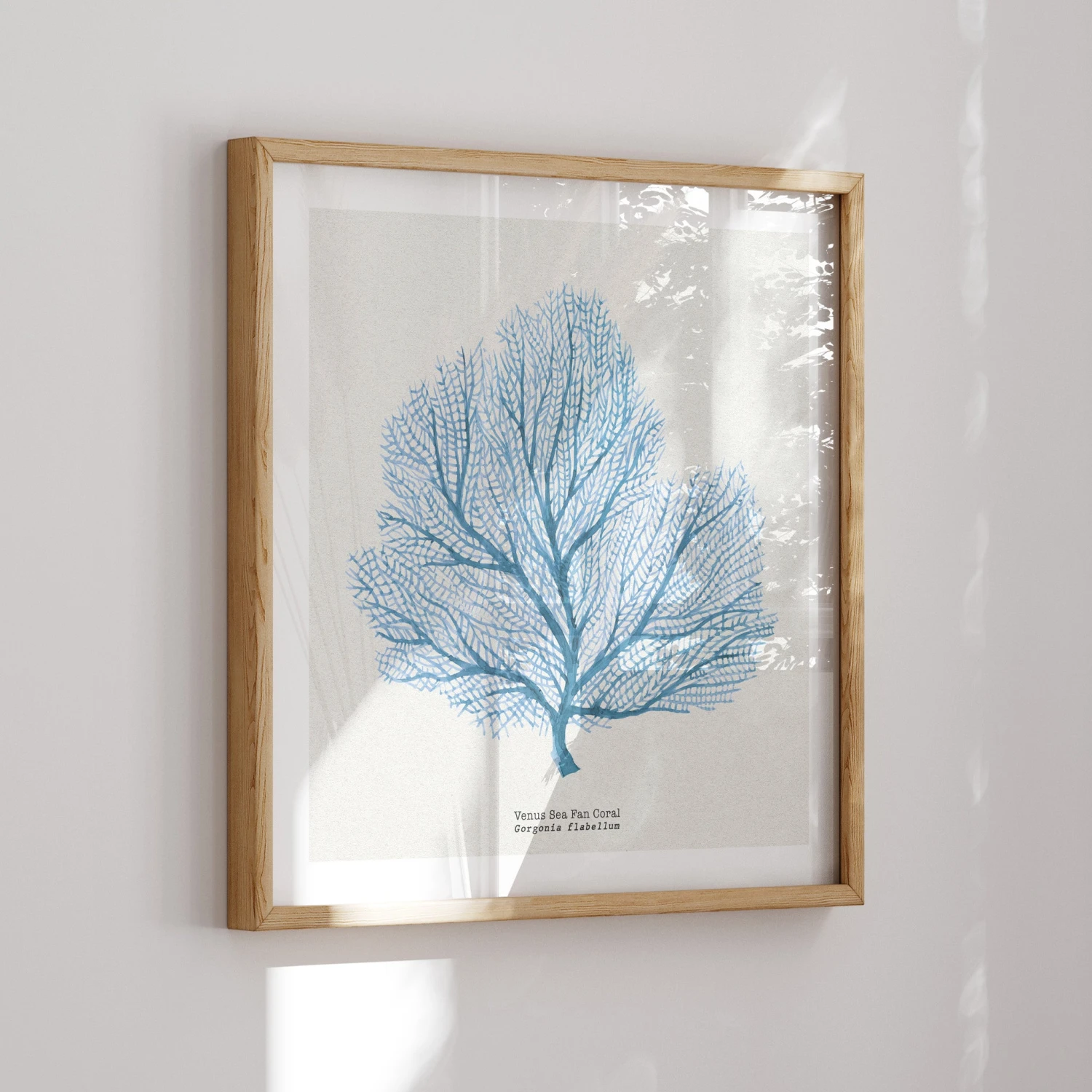 Coral Art | Fan Coral Painting - Unframed Coral Art | Fan Coral Painting - Unframed -Beach House Art Fansolo