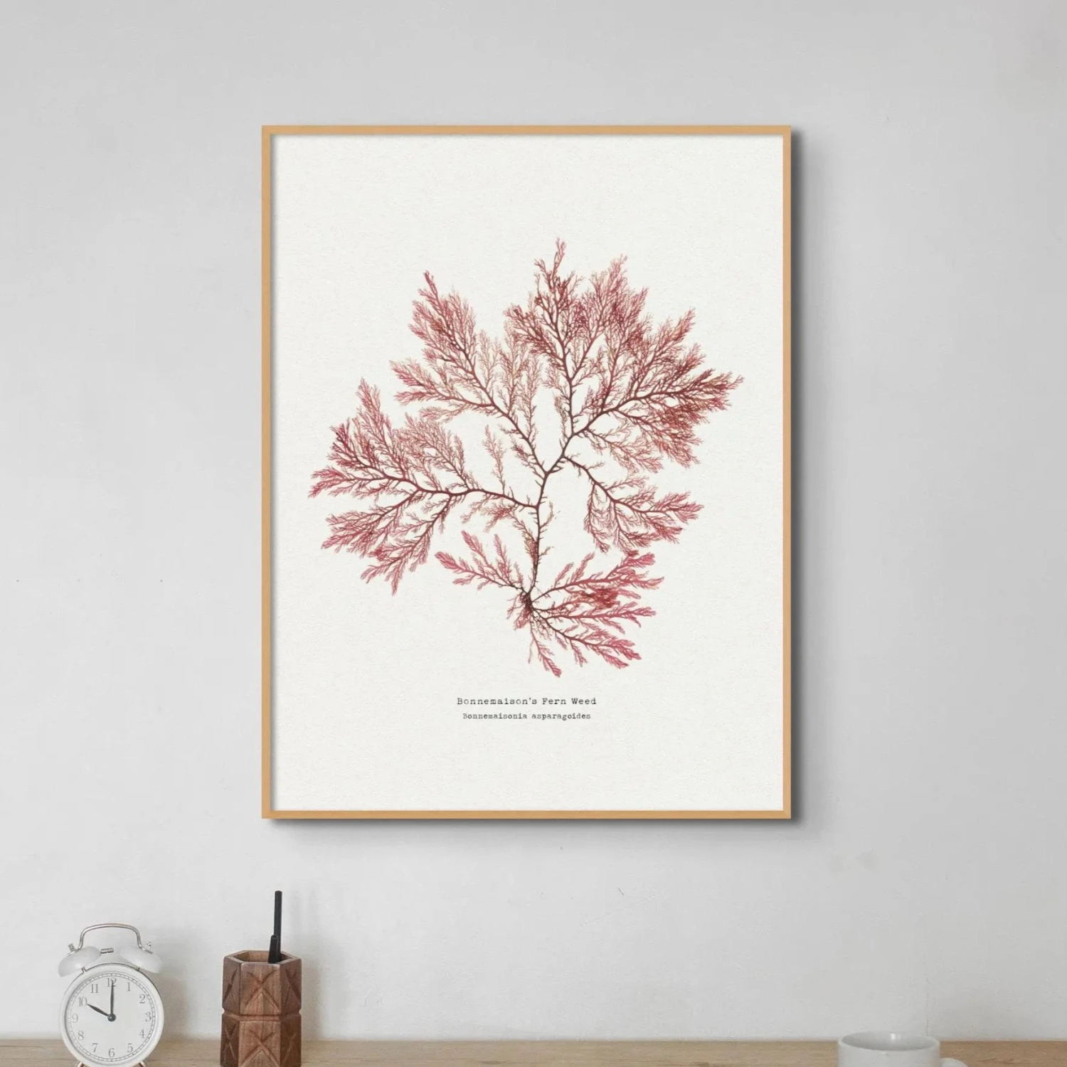 Seaweed Print | Pressed Seaweed Art (Fern Weed No2) - Unframed Seaweed Print | Pressed Seaweed Art (Fern Weed No2) - Unframed -Beach House Art Fern Weed No2 Seaweed Print Fine Art Print Fine art Beach House Art 1661186572