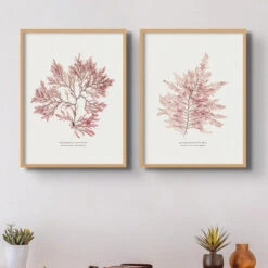 Seaweed Print | Pressed Seaweed Art (Fern Weed No2) - Unframed 13 Seaweed Print | Pressed Seaweed Art (Fern Weed No2) - Unframed -Beach House Art Fern Weed No2 Seaweed Print Fine Art Print Fine art Beach House Art 1661186630