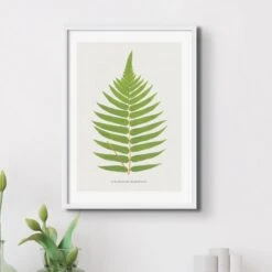 Set Of Three Vintage Fern Prints | Group 5 | Vintage Botanical Wall Art - Framed -Beach House Art Fern 12