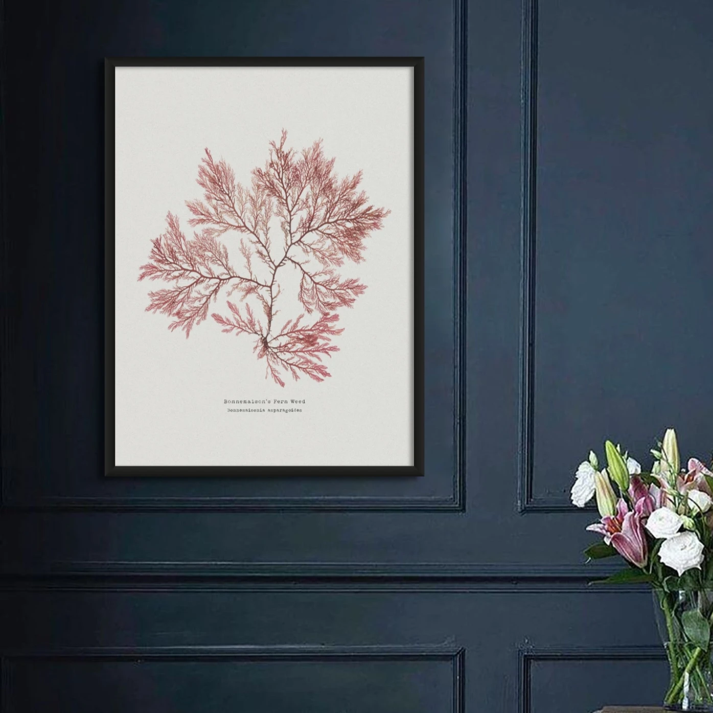 Seaweed Print | Pressed Seaweed Art (Fern Weed No2) - Unframed Seaweed Print | Pressed Seaweed Art (Fern Weed No2) - Unframed -Beach House Art Fernweedseawwedartprint