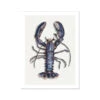 Lobster Print | Kitchen Wall Art | Lobster Art - Unframed 1 Lobster Print | Kitchen Wall Art | Lobster Art - Unframed -Beach House Art Fine Art Print Fine art Beach House Art 1663698078