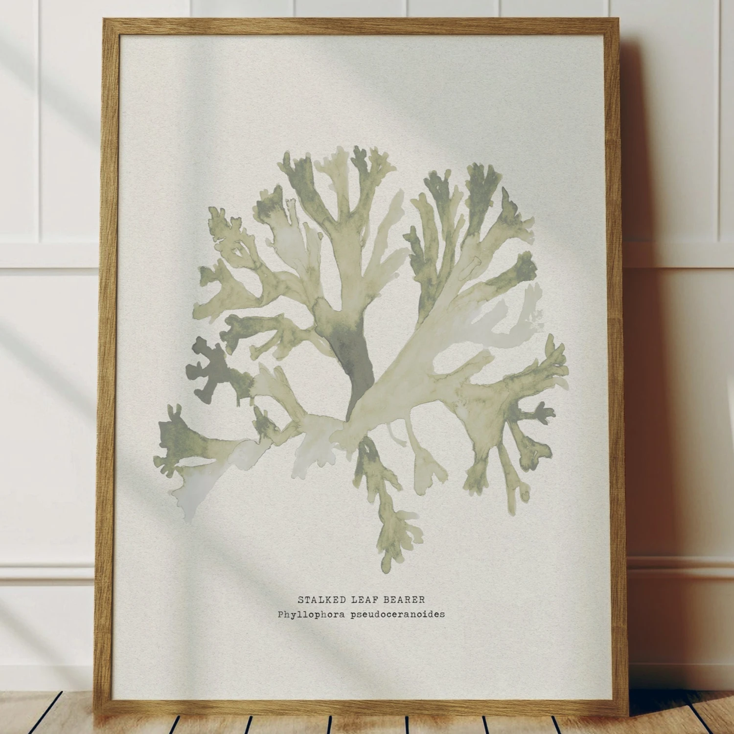 Green Seaweed Art Print | Botanical Watercolour Wall Decor | Stalked Leaf Bearer - Framed Green Seaweed Art Print | Botanical Watercolour Wall Decor | Stalked Leaf Bearer - Framed -Beach House Art Green SLB 888892cd 0c75 4550 a0bf fe71b2ea8d25
