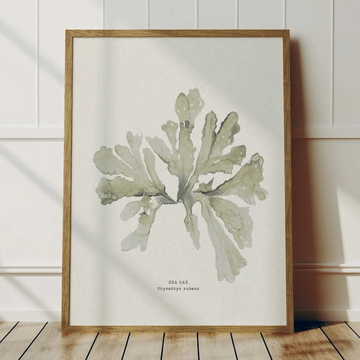 Set of Three Green Seaweed Prints - Framed Set Of Three Green Seaweed Prints - Framed -Beach House Art Green sea oak