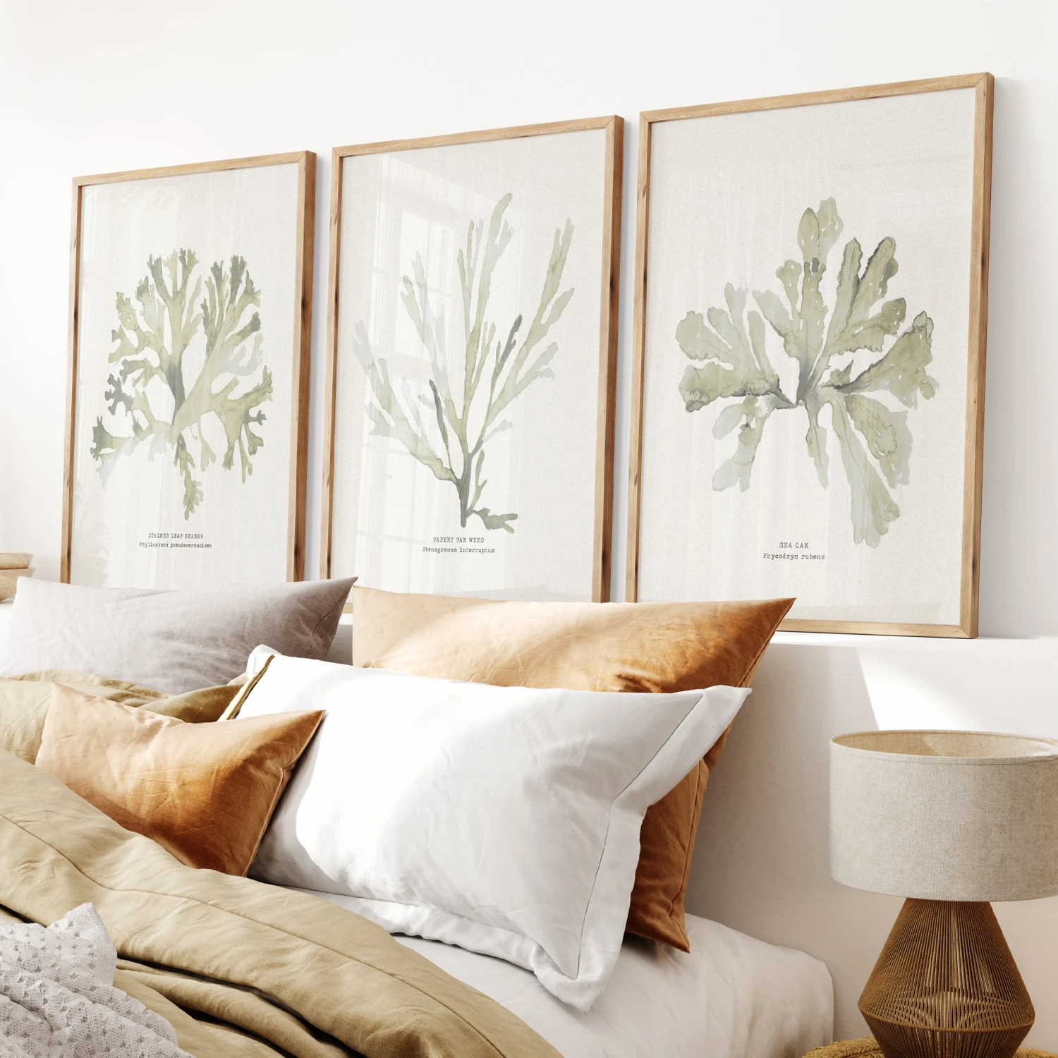 Set of Three Green Seaweed Prints - Framed Set Of Three Green Seaweed Prints - Framed -Beach House Art Green set 1 1