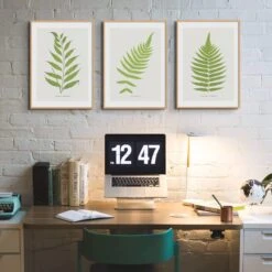 Set Of Three Vintage Fern Prints | Group 5 | Vintage Botanical Wall Art - Framed -Beach House Art Group 5