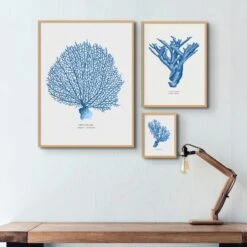 Coral Print | Marine Blue Coral Painting No 2 - Unframed -Beach House Art Groupofthreebluewatercolourcoralsinnaturalframesaboveatimberdeskwithwoodenlamp 1ee524b8 6f6f 42cb bab1 18774301ae6c