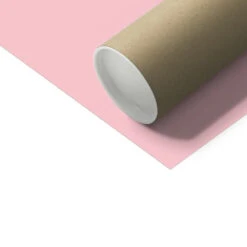 Hola Beaches (Blush Pink) Typography Art Print - Unframed -Beach House Art Hola Beached Blush Pink Fine Art Print Fine art Beach House Art 1650796858