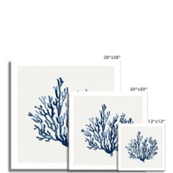 Indigo Coral Print | Coral Wall Art | Watercolour Shell Art - Unframed 8 Indigo Coral Print | Coral Wall Art | Watercolour Shell Art - Unframed -Beach House Art Indigo Coral Art Print Watercolour Shell Art Fine Art Print Fine art Beach House Art 1679847501 4f0af657 b15c 4488 a9b8 b9f746ef9c66