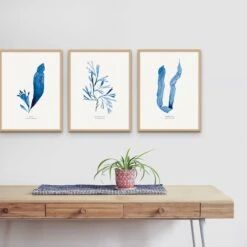 Indigo Seaweed Art |Serrated Wrack Seaweed Print - Unframed -Beach House Art Indigo Seaweed Print Wall Art Serrated Wrack Fine Art Print Home Garden Decor Artwork Posters Prints Visual Artwork Beach House Art 1661521028