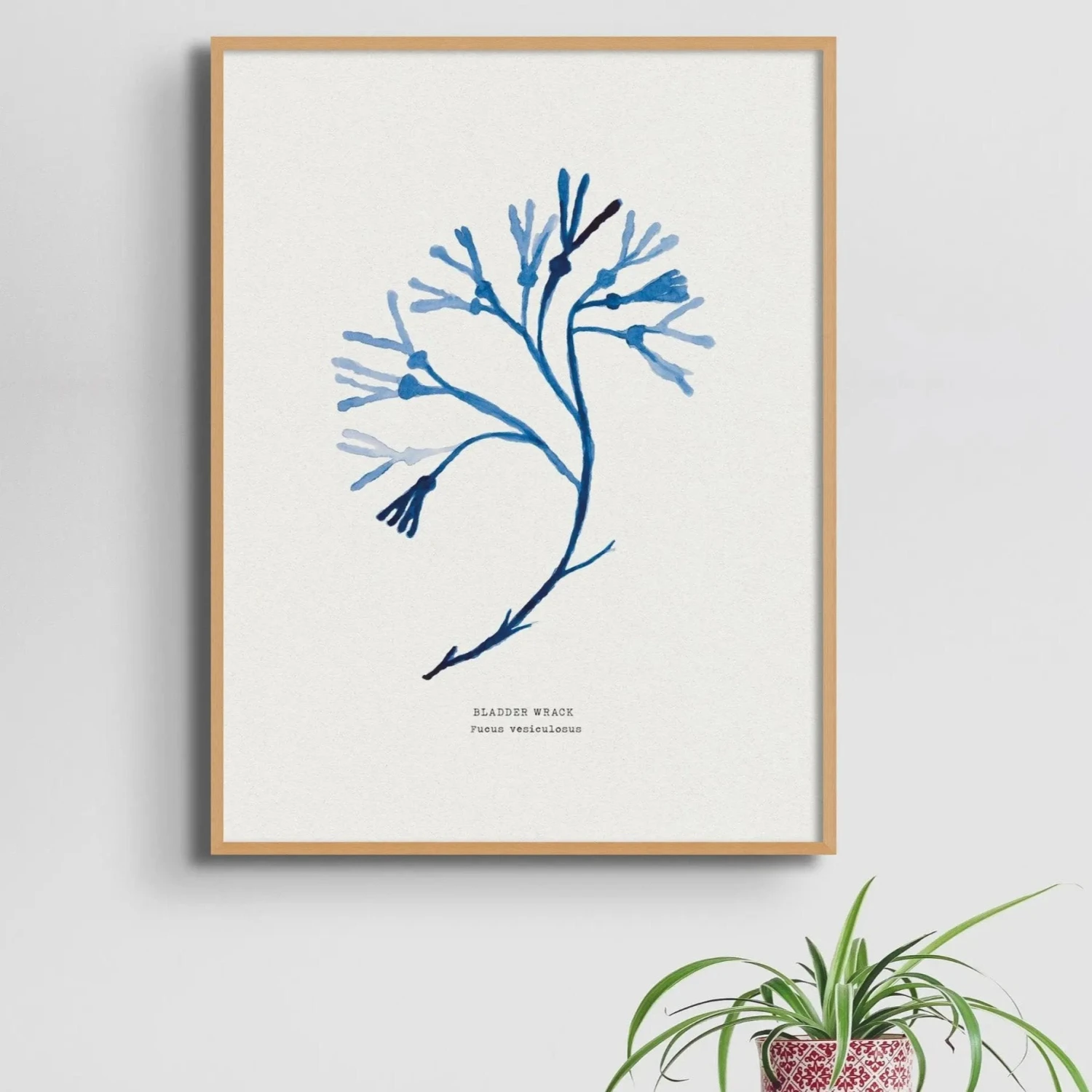 Indigo Seaweed Art Print | Bladder Wrack Seaweed Painting - Framed Indigo Seaweed Art Print | Bladder Wrack Seaweed Painting - Framed -Beach House Art Indigo Seaweed Wall Art Bladder Wrack Framed Print Home Garden Decor Artwork Posters Prints Visual Artwork Beach House Art 1661533360
