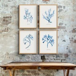 Indigo Seaweed Art Print | Bladder Wrack Seaweed Painting - Framed 4 Indigo Seaweed Art Print | Bladder Wrack Seaweed Painting - Framed -Beach House Art Indigo Seaweed Wall Art Bladder Wrack Framed Print Home Garden Decor Artwork Posters Prints Visual Artwork Beach House Art 1661533384
