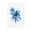 Indigo Seaweed Print |Dulse No.1 Seaweed Painting - Unframed 2 Indigo Seaweed Print |Dulse No.1 Seaweed Painting - Unframed -Beach House Art Indigo Seaweed Wall Art Dulse No.1 Fine Art Print Fine art Beach House Art 1661506201
