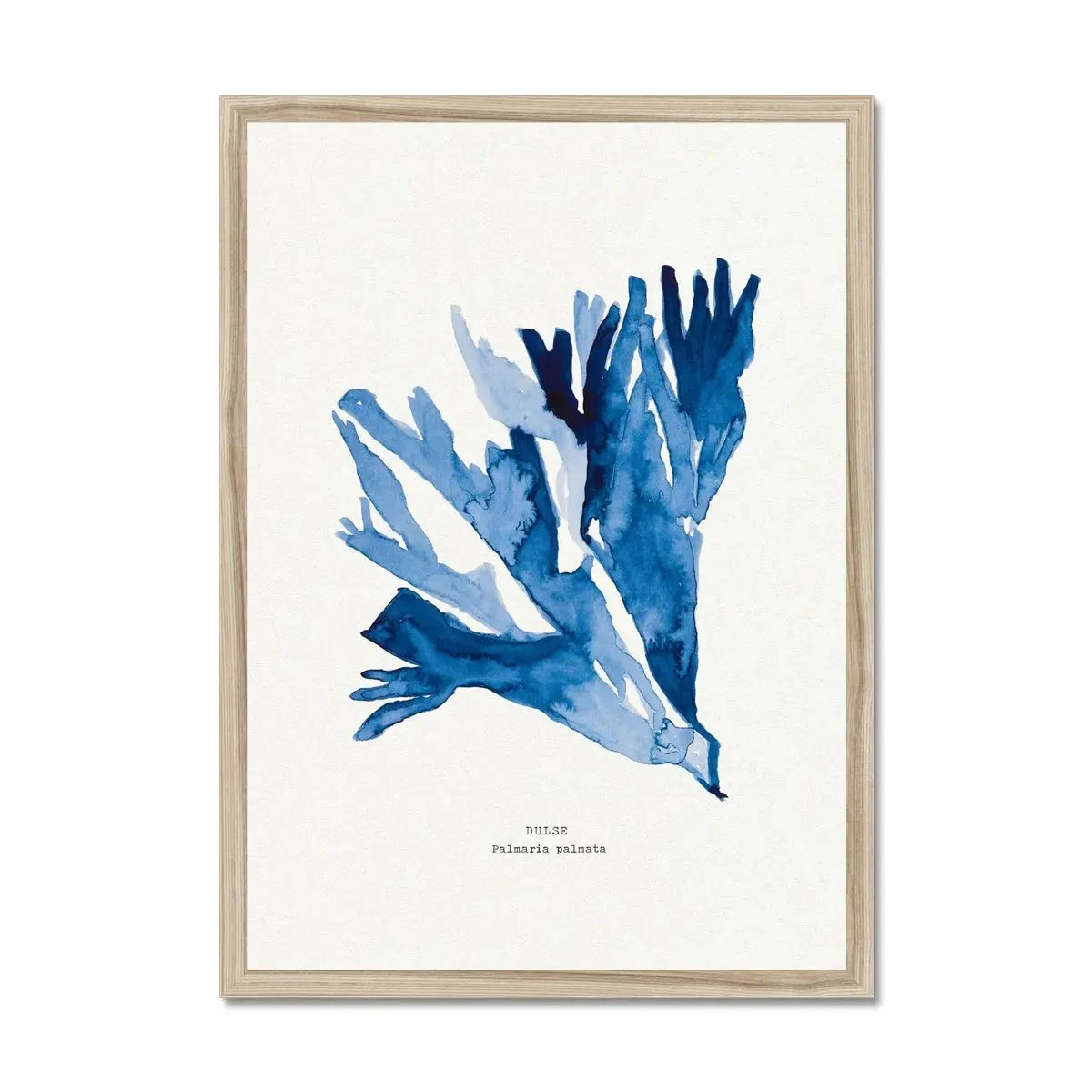 Indigo Seaweed Print | Dulse No.2 Seaweed Painting - Framed Indigo Seaweed Print | Dulse No.2 Seaweed Painting - Framed -Beach House Art Indigo Seaweed Wall Art Dulse No.2 Framed Print Fine art Beach House Art 1661505976